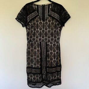 NWT Lace Mini Dress
